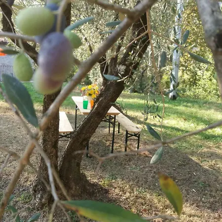 Σπίτι διακοπών Rustico Borgo a Mozzano